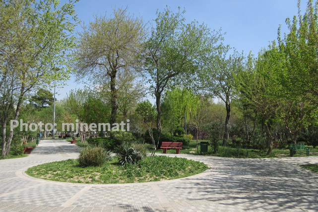 پارک بیسیم تهران سرسبز و پر درخت است. این پارک مهمترین مرکز تفریحی اهالی محله بیسیم است.