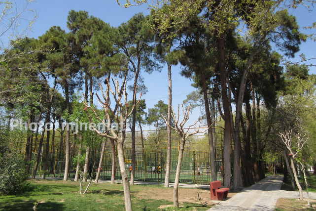 پارک بیسیم تهران یک زمین فوتبال چمن مصنوعی دارد. نوجوانان و جوانان مشغول بازی هستند.